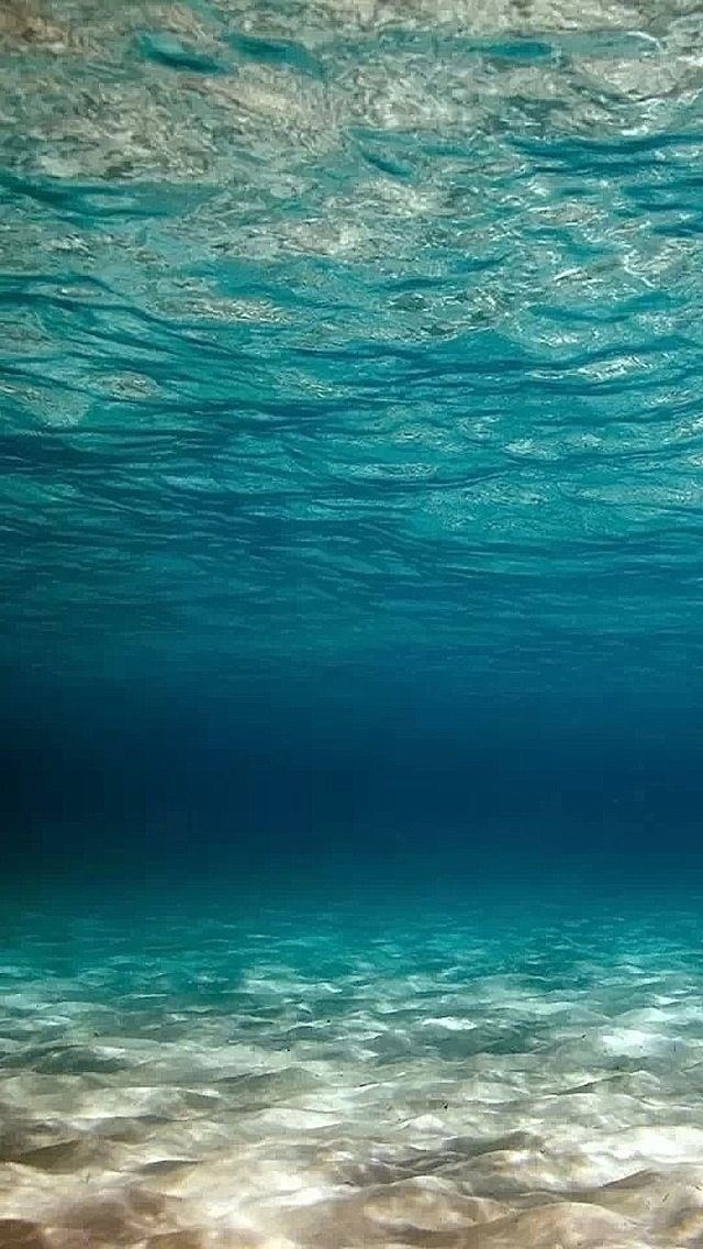 唯美迷人的海底世界手机壁纸