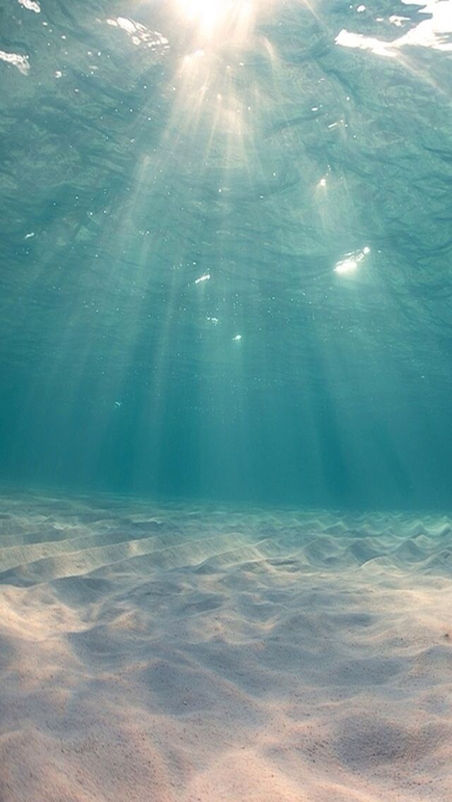唯美迷人的海底世界手机壁纸