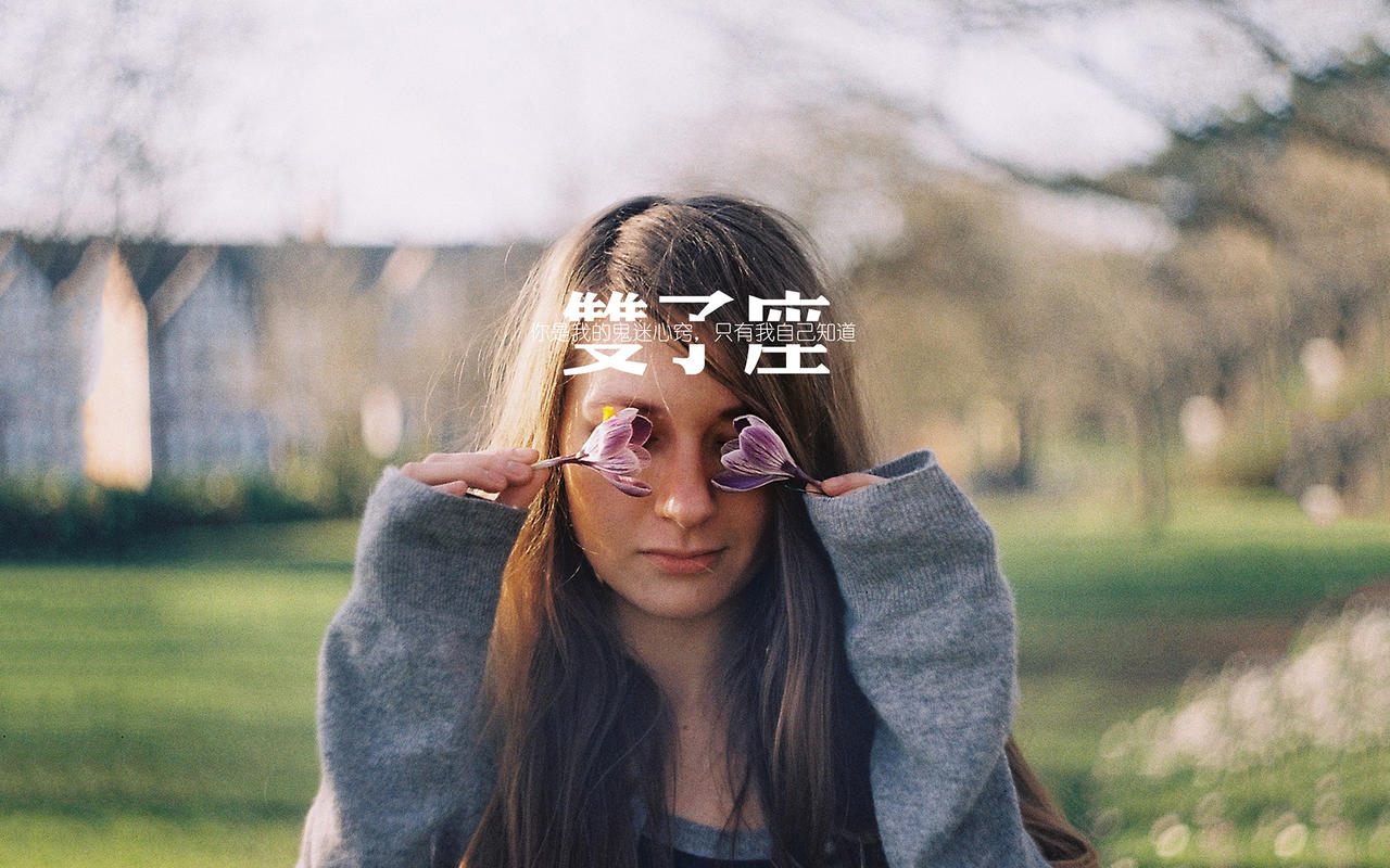 双子座唯美文字电脑桌面壁纸图片
