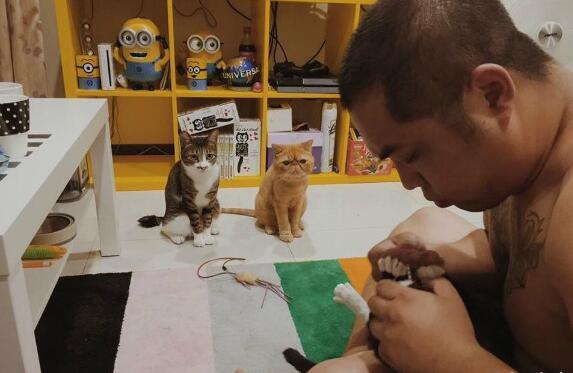 猫星人剪指甲爆笑图片
