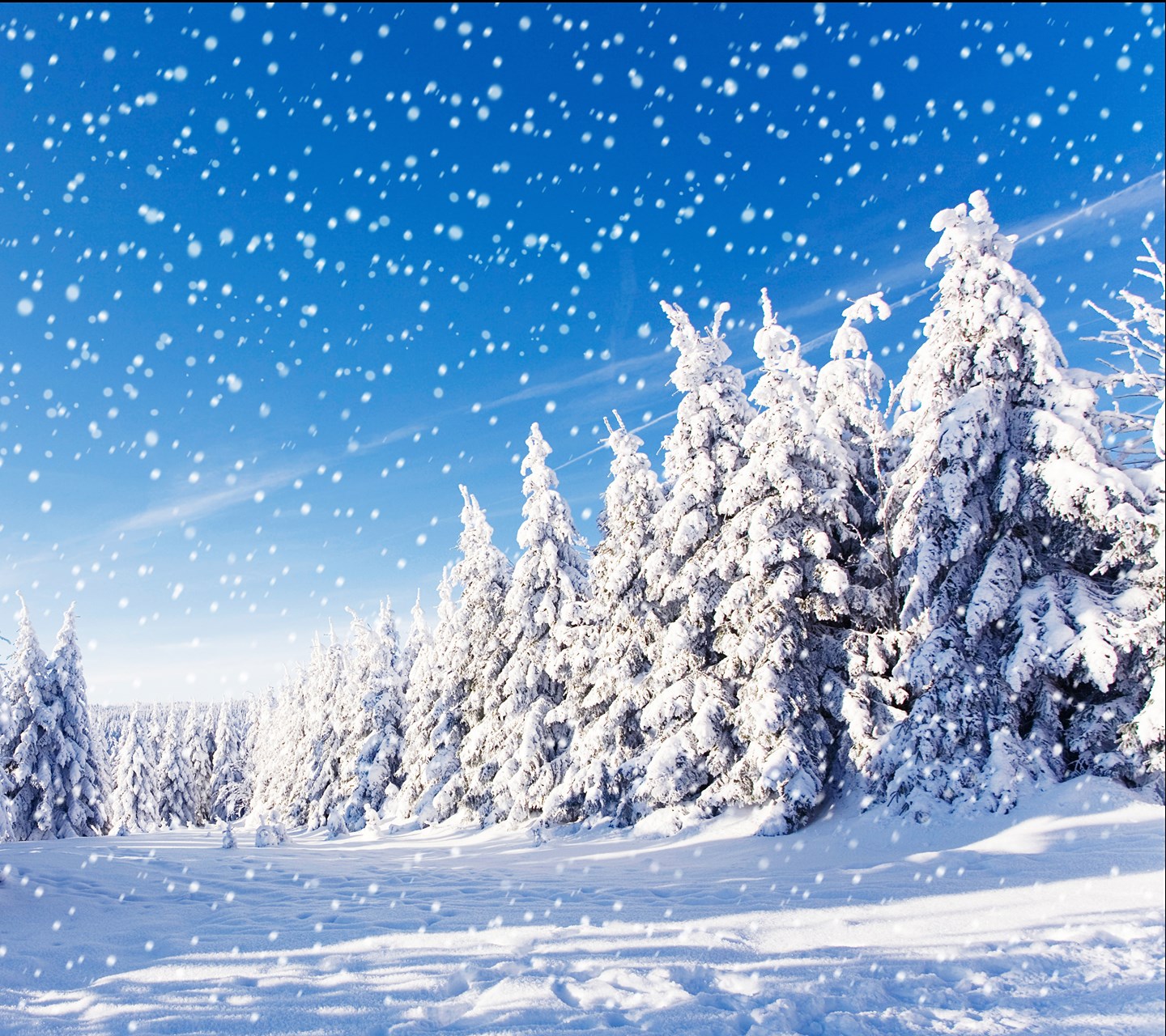 白雪皑皑冬季雪景手机壁纸