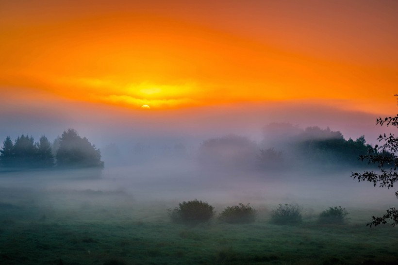 唯美晨雾风景壁纸图片