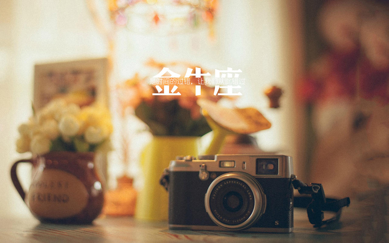 唯美金牛座文字控图片高清壁纸桌面
