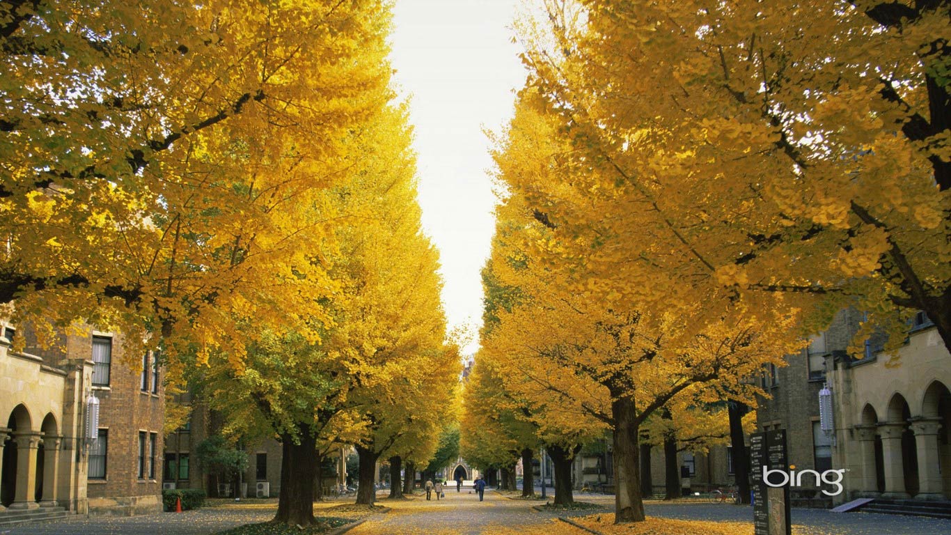 好看的深秋美丽风景壁纸桌面图片