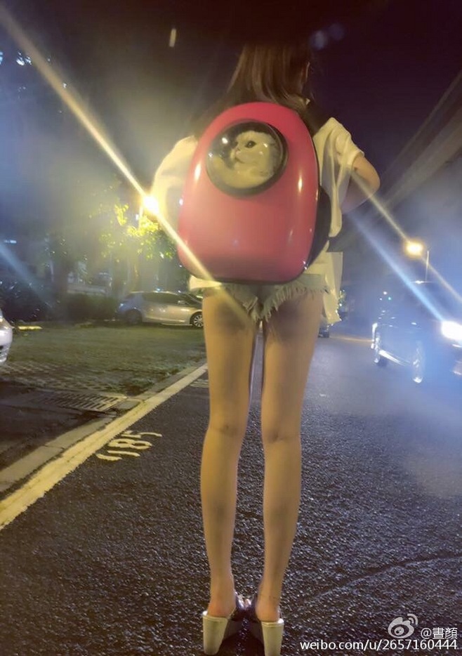 爆笑图片：听说爱猫的妹子心都善良
