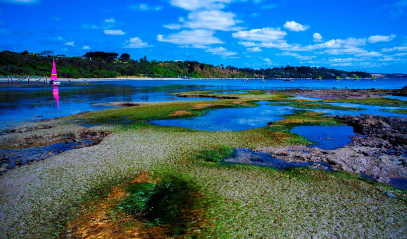 美丽的海湾风光图片