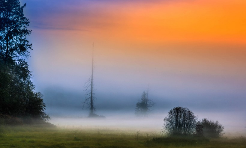 唯美晨雾风景壁纸图片