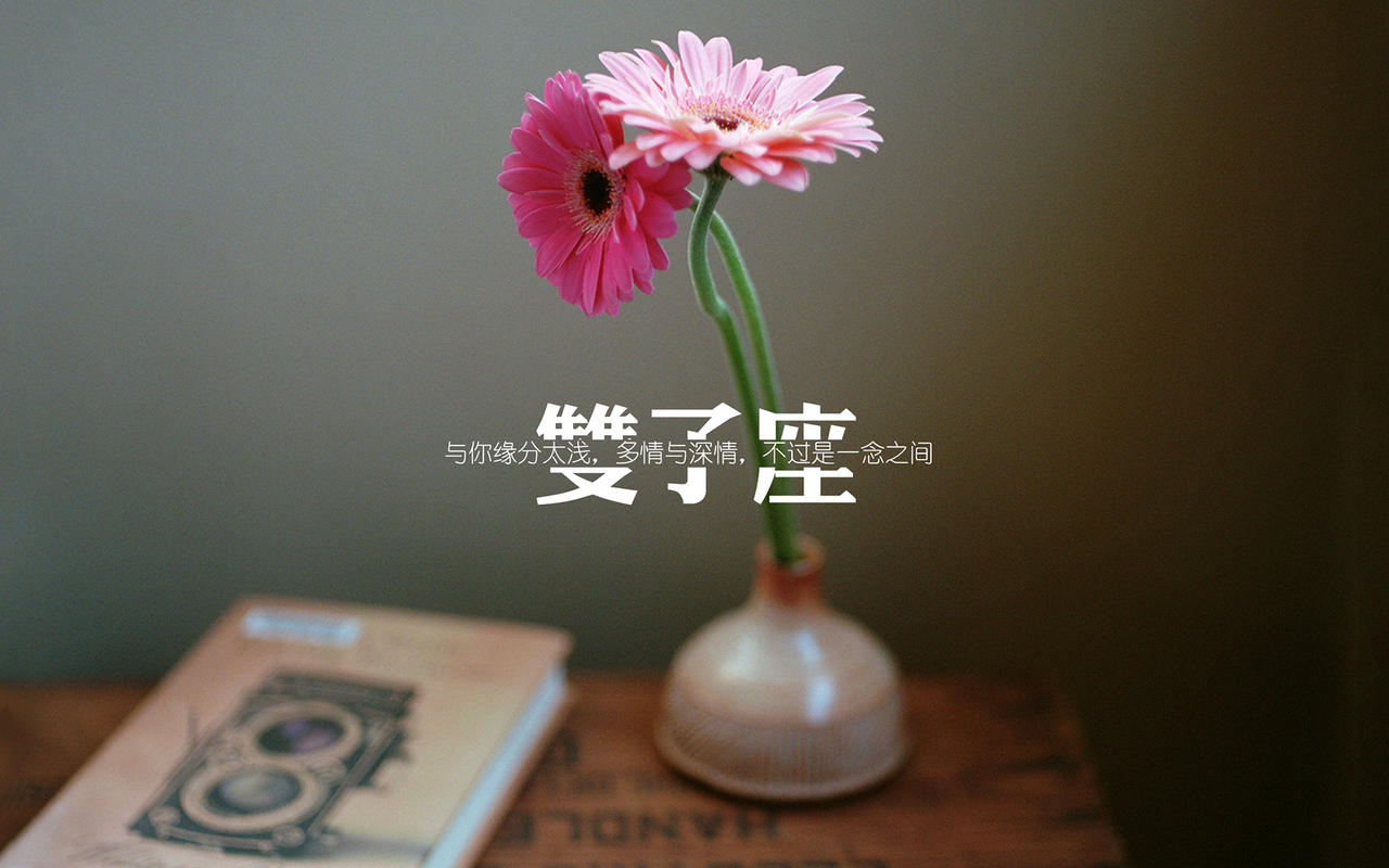 双子座唯美文字电脑桌面壁纸图片