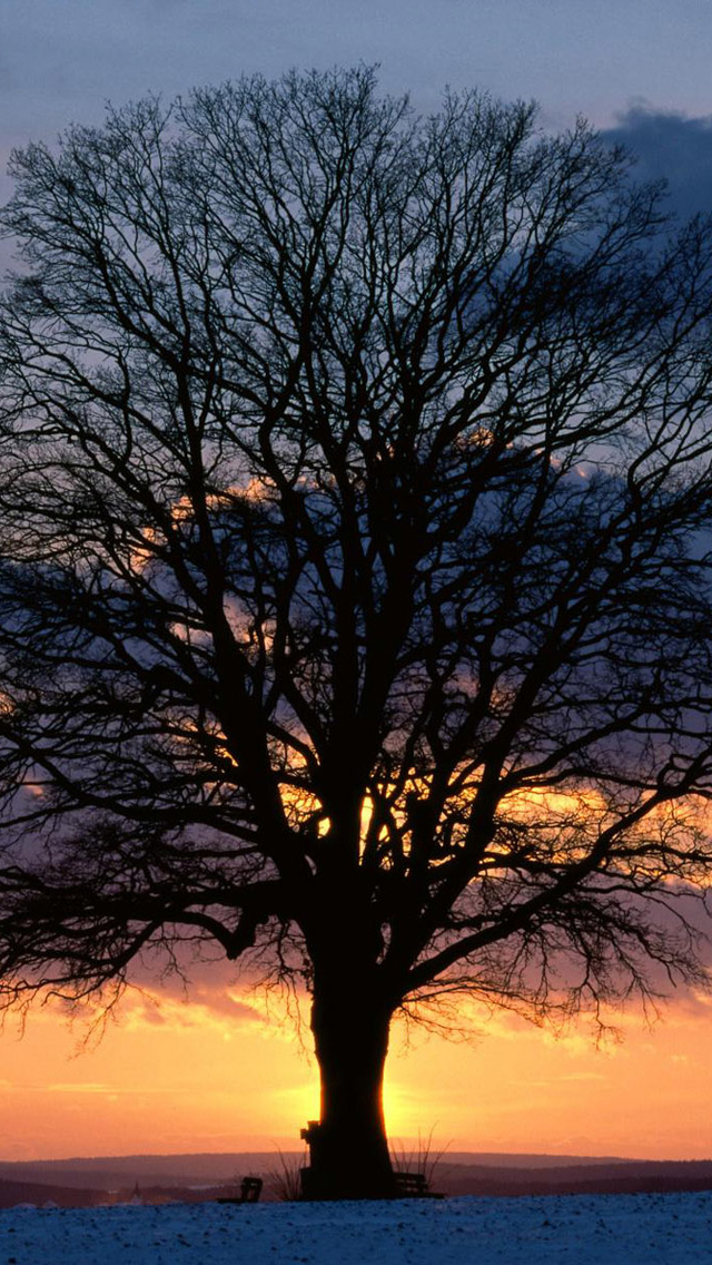 日出日落风景iPhone6壁纸图片