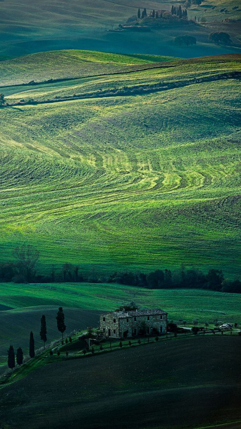 绿绿葱葱的田园风景手机壁纸