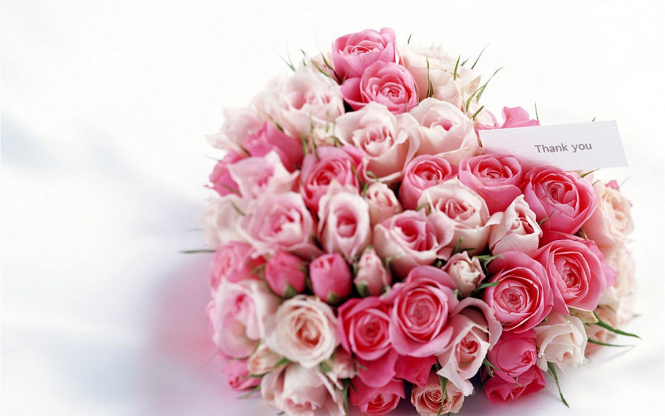 唯美浪漫玫瑰花高清植物图片