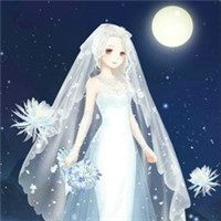 暖暖环游世界新娘婚纱头像图片