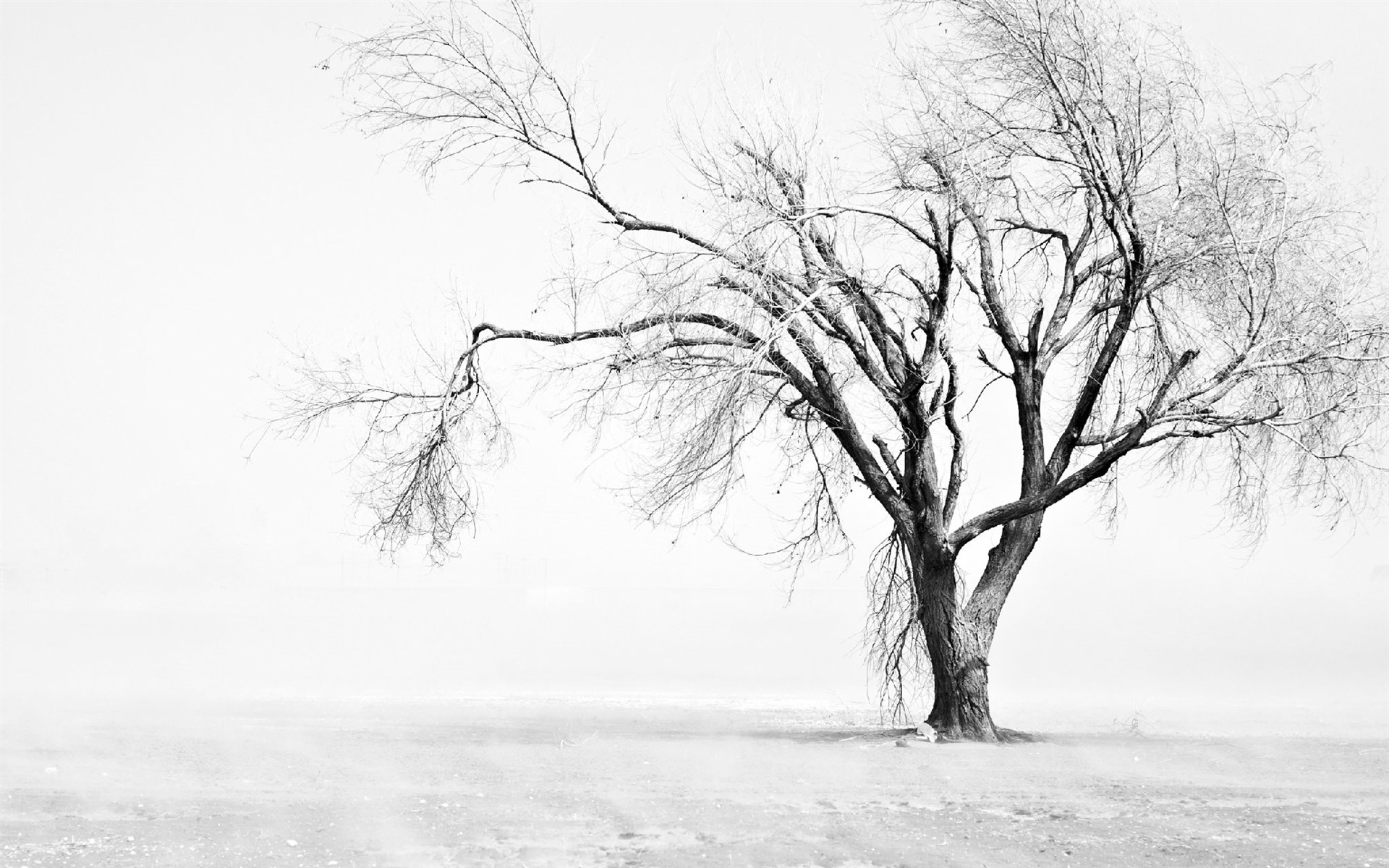 冬季高清雪景风景壁纸图片