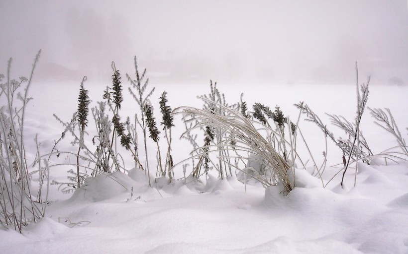 冬季唯美雪景电脑风景壁纸图片