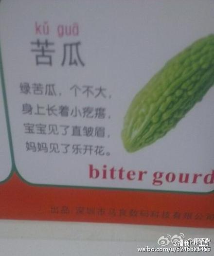 关于苦瓜的邪恶内涵图片