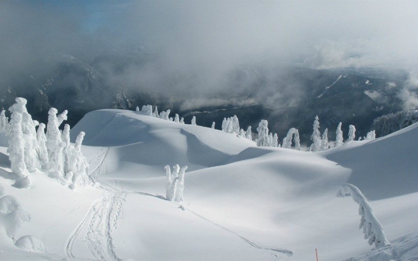 冬季秀丽雪景图片唯美合辑