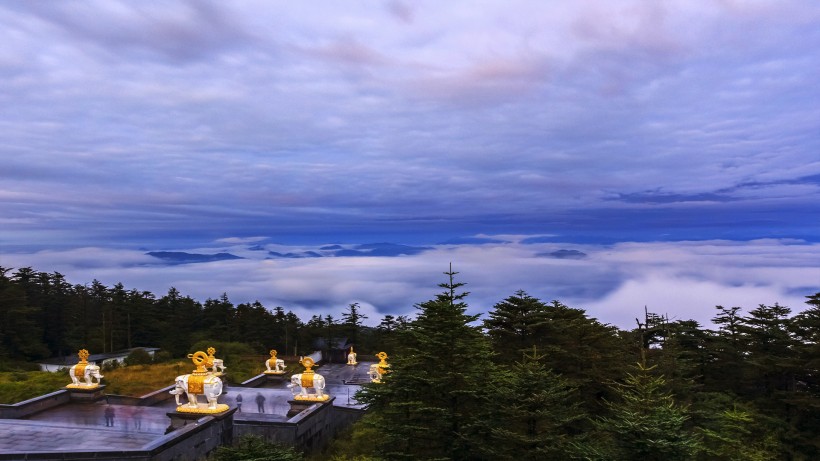 山顶的云海图片唯美图集
