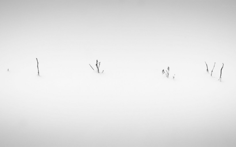 冬季秀丽雪景图片唯美合辑