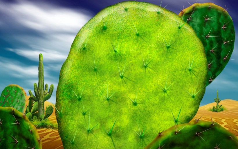 绿色仙人掌植物图片合辑