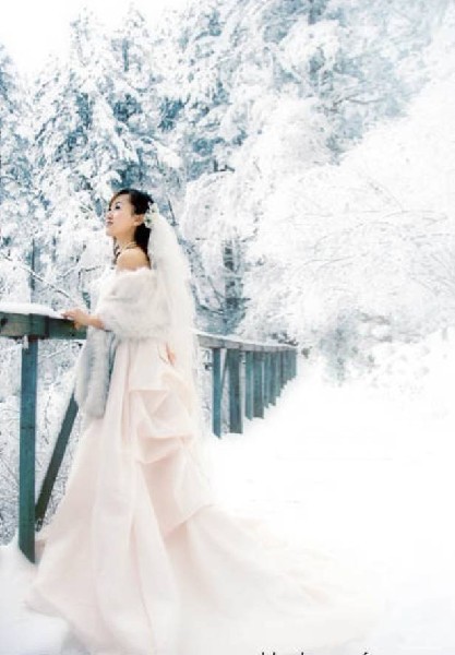 美丽的新娘婚纱照花样发型图片