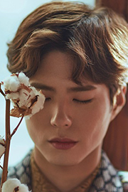 韩星朴宝剑时尚杂志写真桌面壁纸